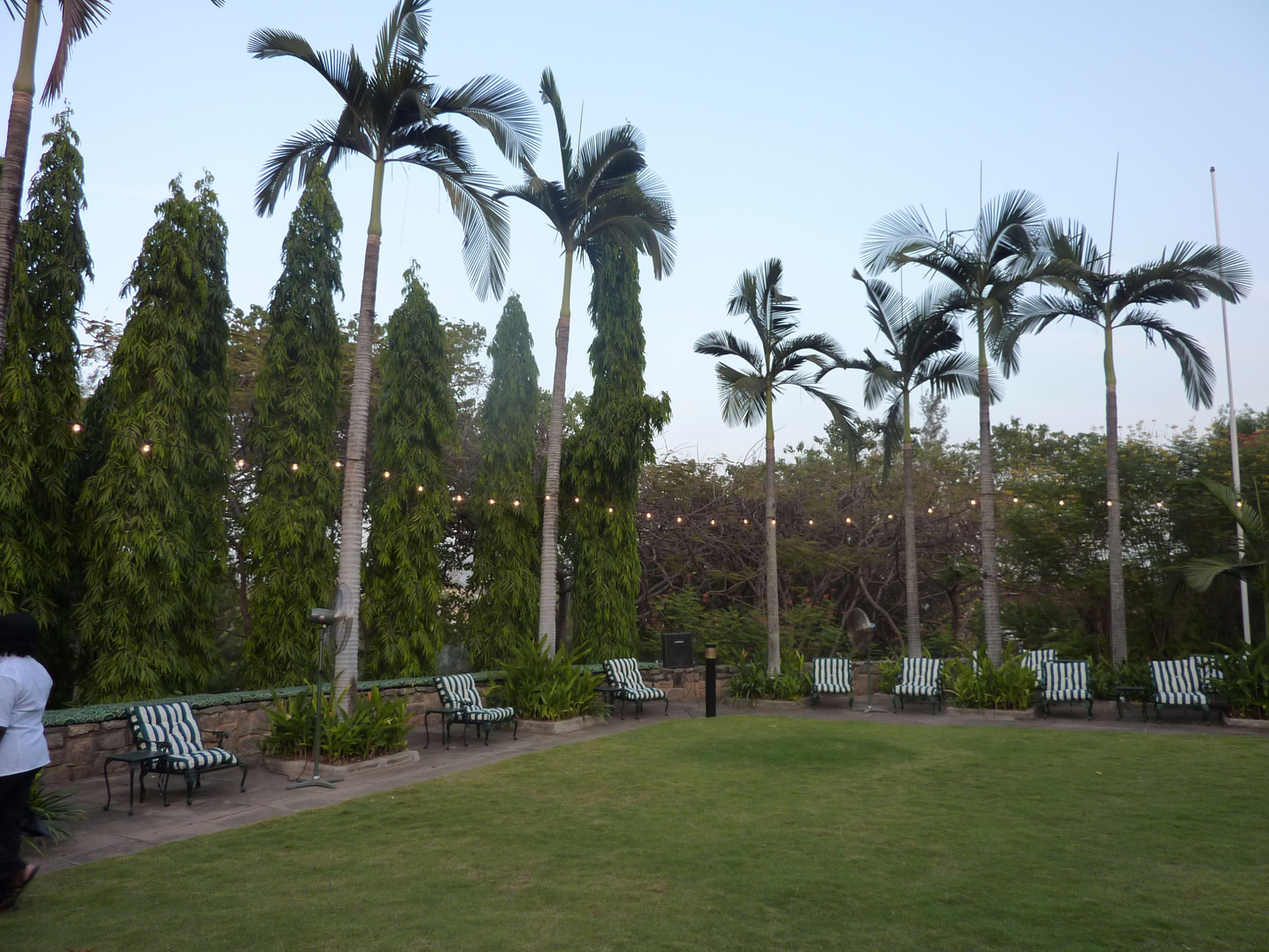 Palm Trees Abuja